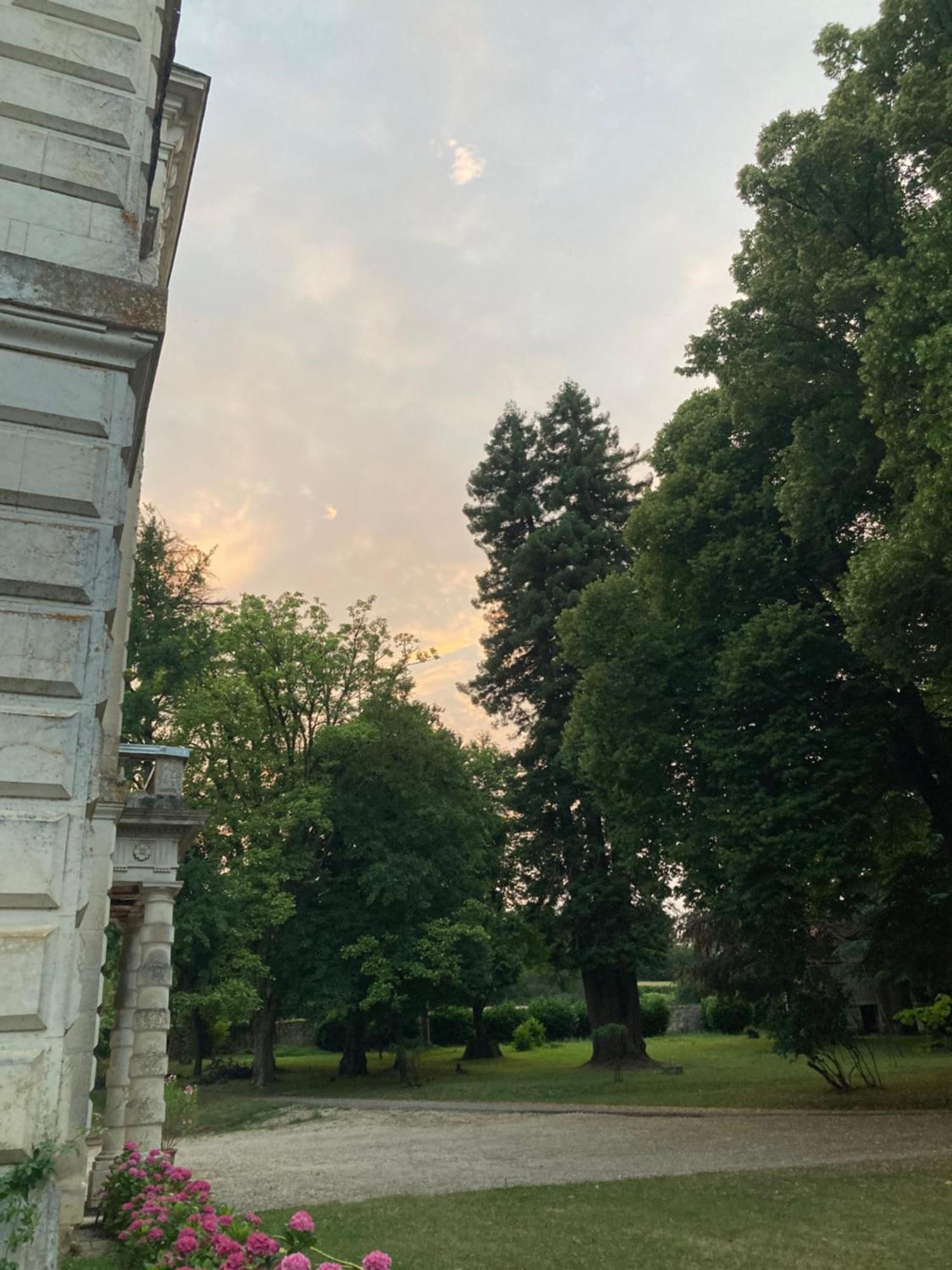 Chateau De Chasseneuil Sur Bonnieure Bagian luar foto