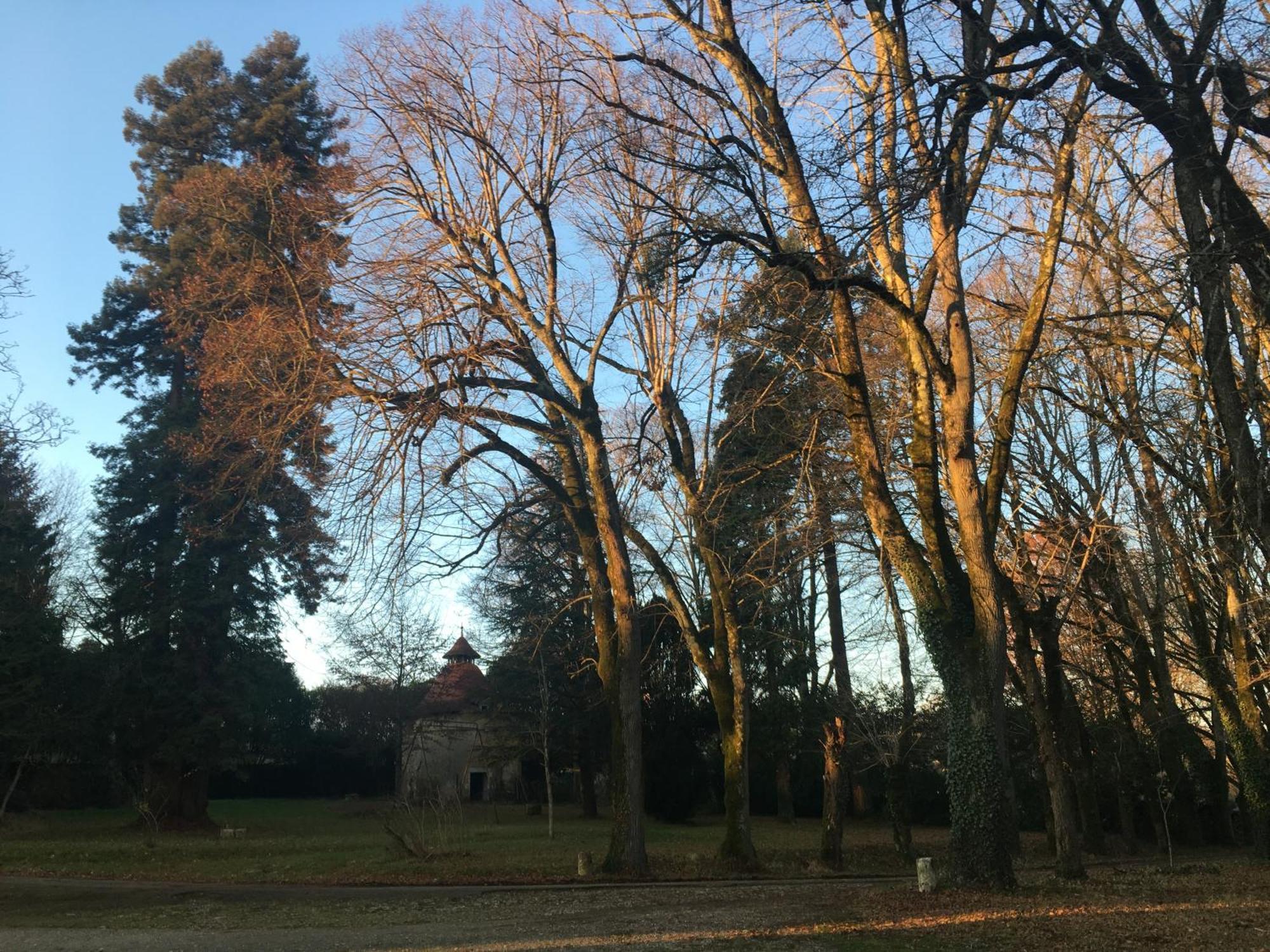 Chateau De Chasseneuil Sur Bonnieure Bagian luar foto