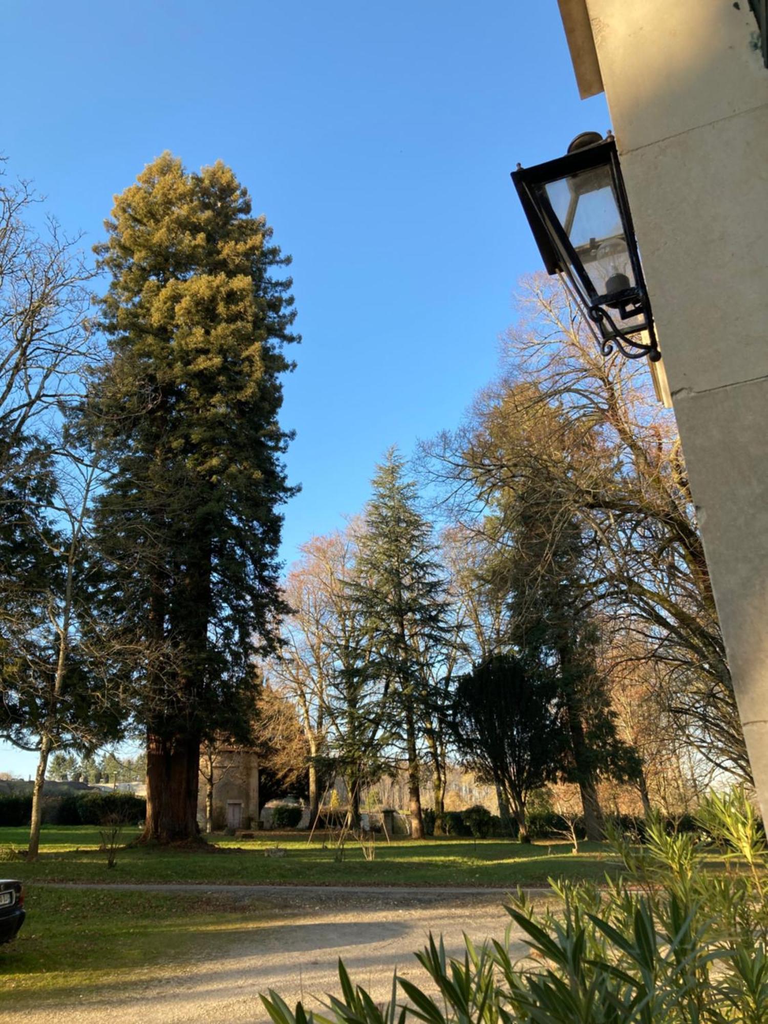 Chateau De Chasseneuil Sur Bonnieure Bagian luar foto